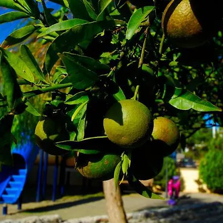 Ξενοδοχείο Luna Deluxe 5*