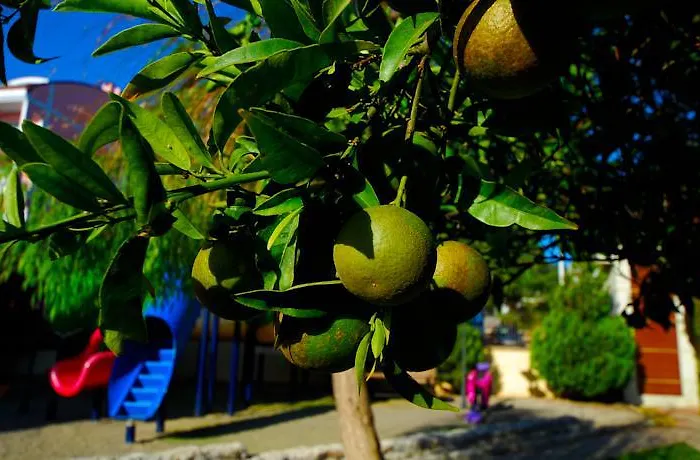 Ξενοδοχείο Luna Deluxe 5*